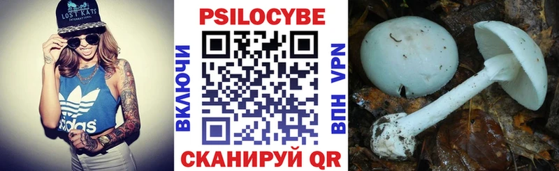 Галлюциногенные грибы мицелий  omg маркетплейс  Новое Девяткино  хочу наркоту 